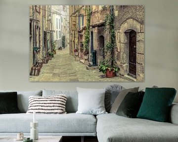 Entrevaux van Elles Rijsdijk