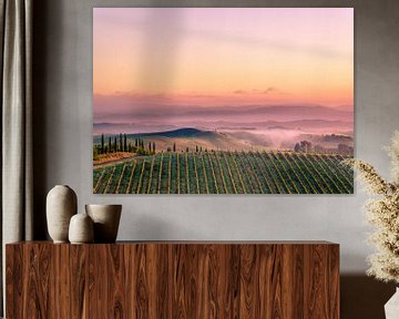 Vineyard in Tuscany by Tony Buijse