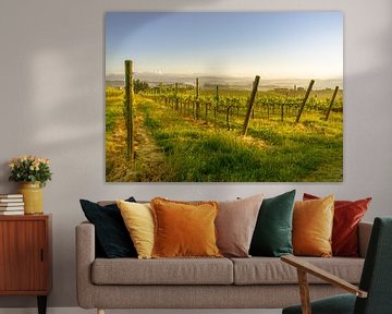 Spring in a Tuscan vineyard by Tony Buijse