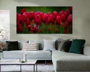 Rode tulpen van Marja Spiering