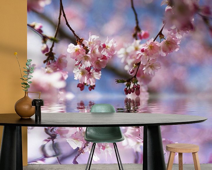 Beispiel fototapete: Kirschblüten Traum  von Tanja Riedel
