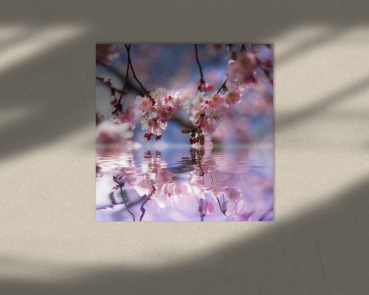 Beispiel: Kirschblüten Traum  von Tanja Riedel
