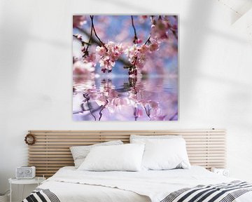 Kirschblüten Traum  von Tanja Riedel