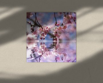 Rêve de fleurs de cerisier sur Tanja Riedel