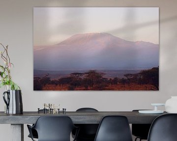 Kilimanjaro van Cinthia Mulders