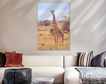 Giraf op de Afrikaanse Savanne van Cinthia Mulders