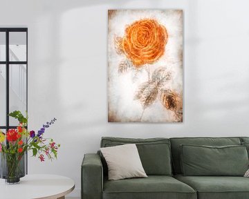 Rose by Dagmar Marina
