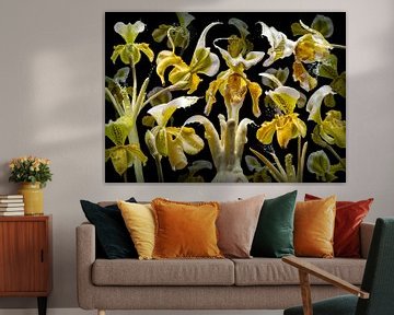 Orchidea Asparagus van Olaf Bruhn