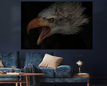 The Eagle has landed