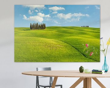 Hilly landscape in Tuscany van Michael Valjak