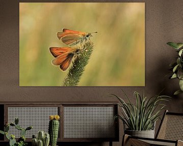 Butterflies von Janine van Lagen