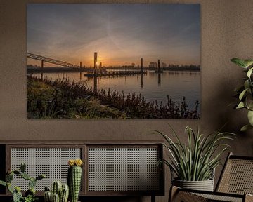 Binnenschip in overnachtingshaven van Moetwil en van Dijk - Fotografie