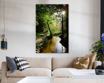 Une forêt avec un ruisseau ensoleillé sur Günter Albers