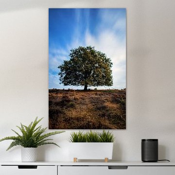 I Stand Alone (Colour)