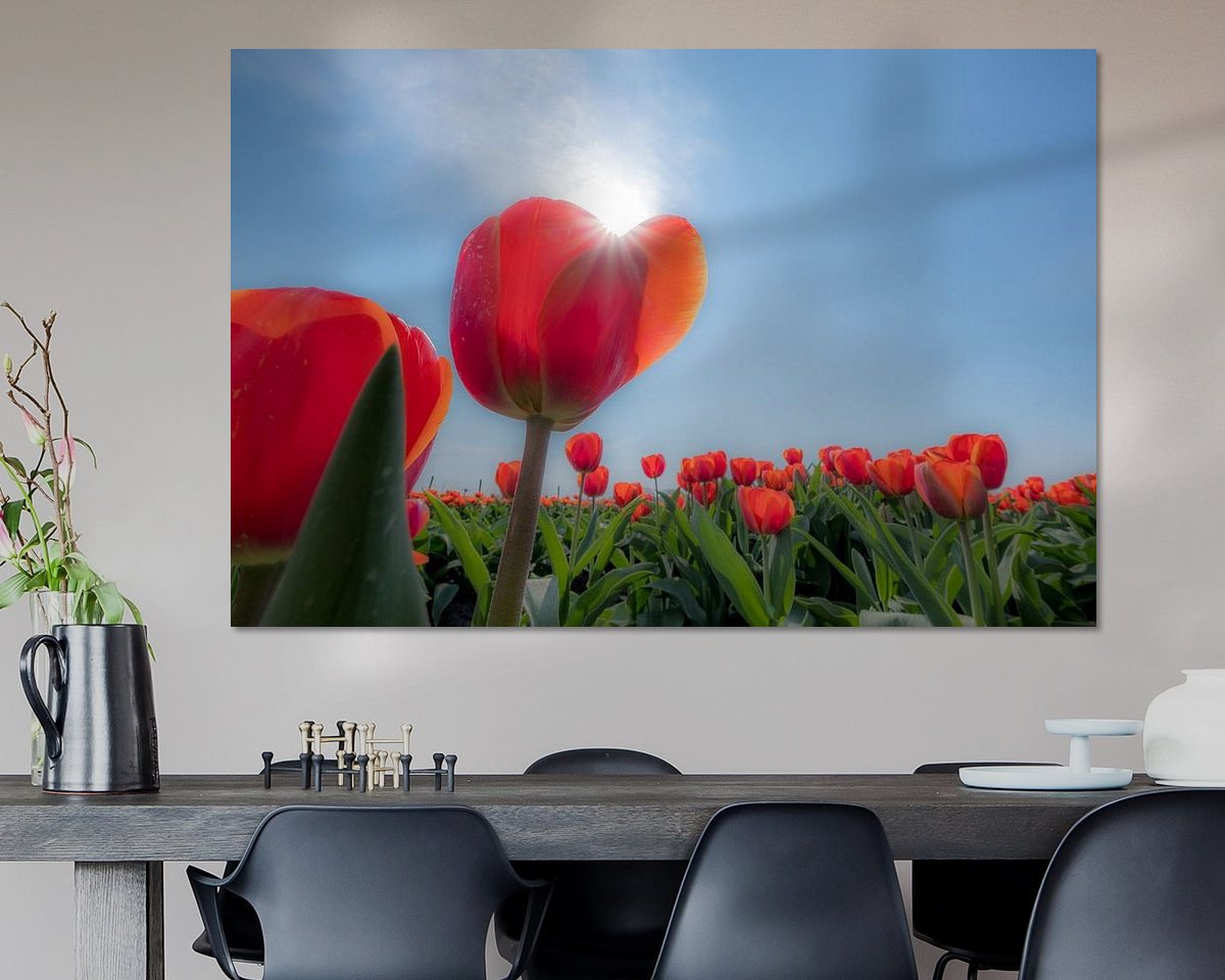 Voorbeeld van het werk in een kamer