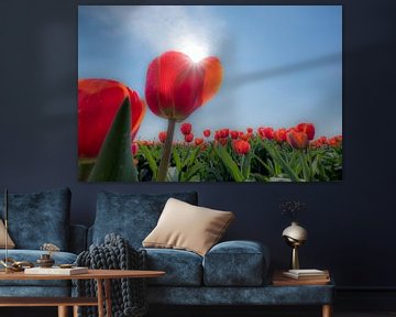 Tulpenveld met zon von Moetwil en van Dijk - Fotografie