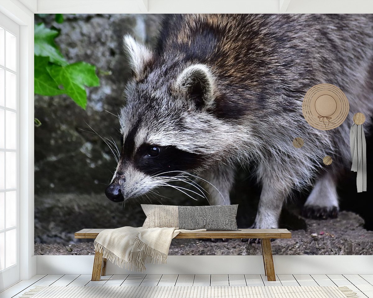 Raumvorschau