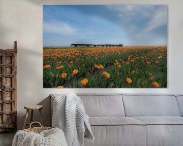 Werktrein tussen tulpenvelden by Moetwil en van Dijk - Fotografie