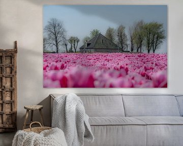 Boerderij tussen de tulpenvelden by Moetwil en van Dijk - Fotografie