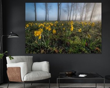 Narcissen met prachtige bomen von Moetwil en van Dijk - Fotografie