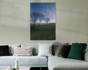 Bomen in weiland van Moetwil en van Dijk - Fotografie