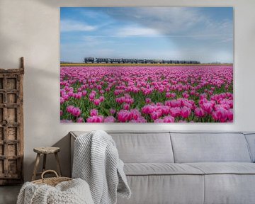 Stoomtrein door bloeiende tulpenvelden - bollenvelden van Moetwil en van Dijk - Fotografie