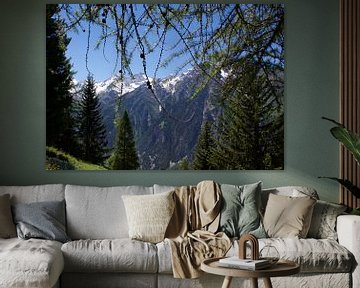 Het leven in de Zwitserse bergen op een zomerse dag van Mirjam Rood-Bookelman