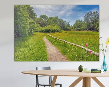 Wandelen in De Hout te Alkmaar van Ronald Smits