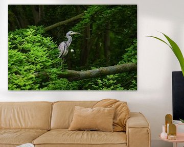 Reiger in een boom von Dirk van Egmond