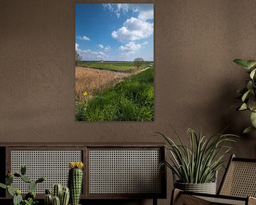 Hollandse molen sur Moetwil en van Dijk - Fotografie