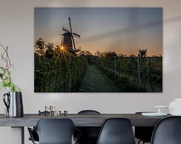 Molen bij zonsopkomst van Moetwil en van Dijk - Fotografie