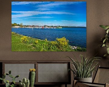 View to the port of Rerik, Germany