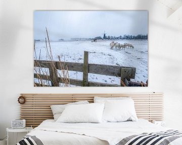 Molen en schapen in winters landschap