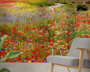sea of flowers in the Zeeland landscape by Els Fonteine