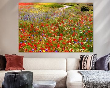Blumenmeer in der Zeeland Landschaft von Els Fonteine