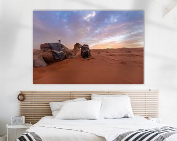 Arabische Kamele - Merzouga Wüste, Marokko von Thijs van den Broek