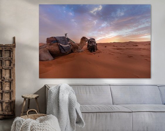 Aperçu de la chambre