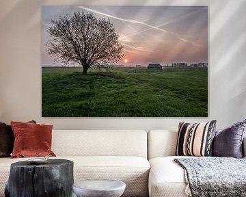 Weiland met boom en schuur bij zonsopkomst 01 van Moetwil en van Dijk - Fotografie