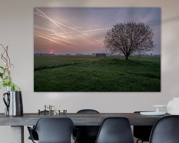 Weiland met boom en schuur bij zonsopkomst 05 by Moetwil en van Dijk - Fotografie