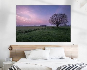 Weiland met boom en schuur bij zonsopkomst 06 by Moetwil en van Dijk - Fotografie