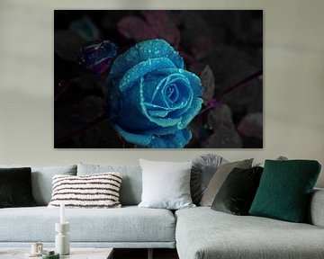 Blue rose in tears by Ellinor Creation