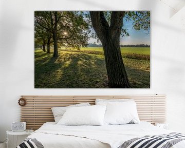 Zonnige herfst met bomen sur Moetwil en van Dijk - Fotografie