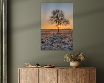 Zonsopkomst bij boom alone in besneeuwd landschap van Moetwil en van Dijk - Fotografie