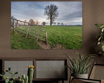 Boom en hekwerk van Moetwil en van Dijk - Fotografie