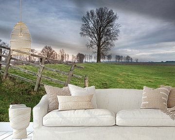 Boom en hekwerk van Moetwil en van Dijk - Fotografie