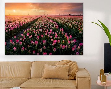 Dutch Tulipfields by Martijn van der Nat