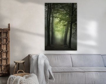 50 shades of green . forest  . Award winning picture. van Saskia Dingemans Awarded Photographer