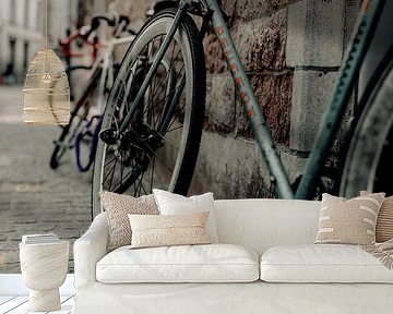 Old bicycle van Jelle Lagendijk