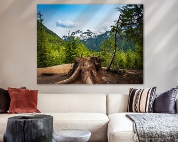 Baumstumpf gegen den Hintergrund von Bergen und von Bäumen, Kanada von Rietje Bulthuis