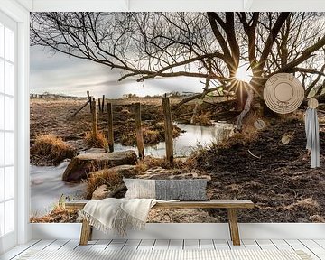 Zonsondergang aan de Maas